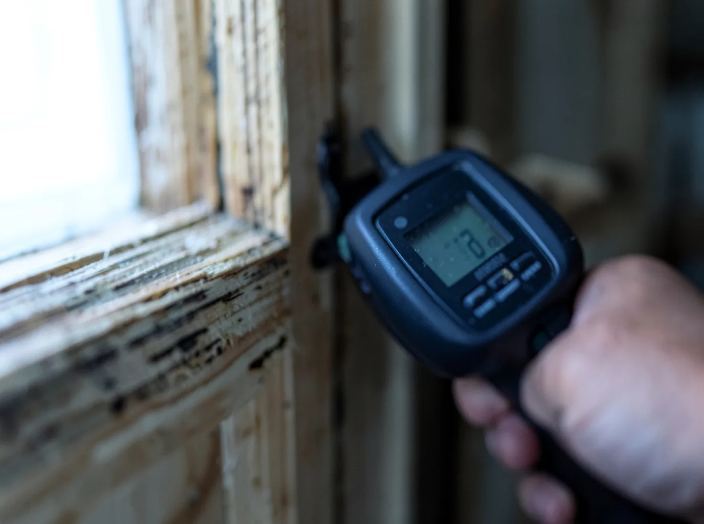 Moisture Inspection And Documentation in Onsted, MI